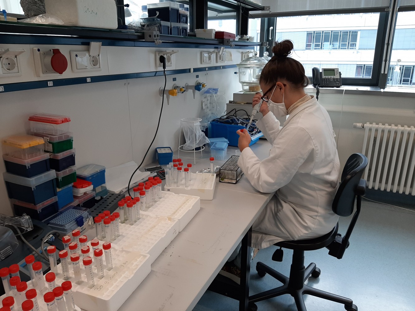 100 jaar DAAD: kennis uitwisselen in moeilijke tijden